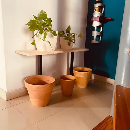 Duplex De Diseno Centrico