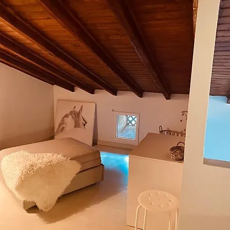 Duplex De Diseno Centrico